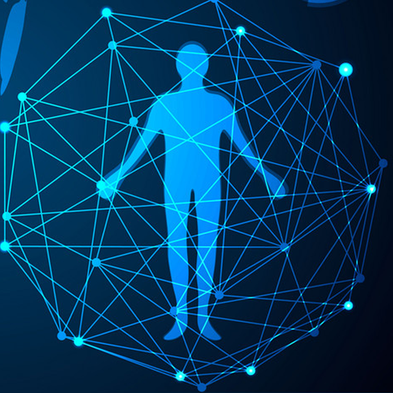 Body Gesture Analysis